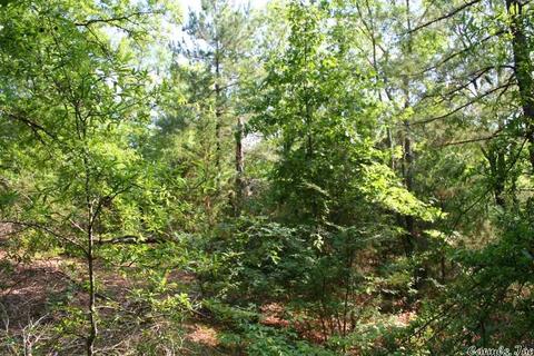 1340 Mcnutt Rd, Conway, AR 72034 photo 37