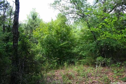 1340 Mcnutt Rd, Conway, AR 72034 photo 28