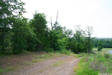 1340 Mcnutt Rd, Conway, AR 72034 photo 21