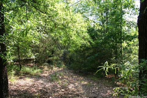 1340 Mcnutt Rd, Conway, AR 72034 photo 35