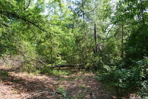 1340 Mcnutt Rd, Conway, AR 72034 photo 36