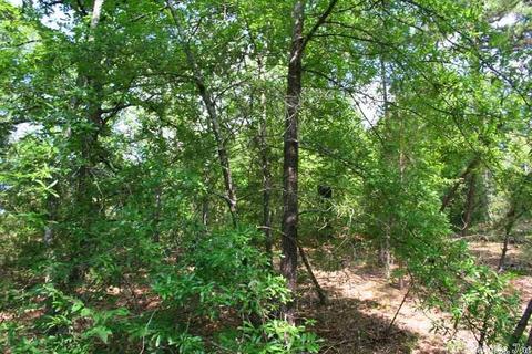 1340 Mcnutt Rd, Conway, AR 72034 photo 38