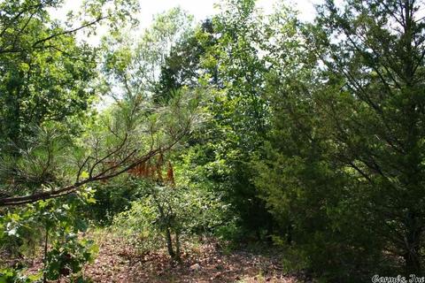 1340 Mcnutt Rd, Conway, AR 72034 photo 26