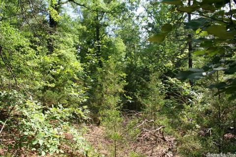 1340 Mcnutt Rd, Conway, AR 72034 photo 33
