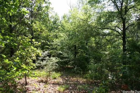 1370 Mcnutt Rd, Conway, AR 72034 photo 24