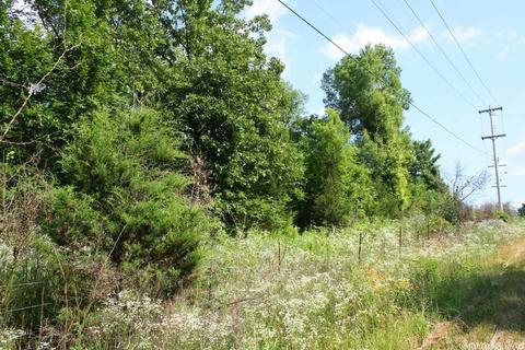 1370 Mcnutt Rd, Conway, AR 72034 photo 34