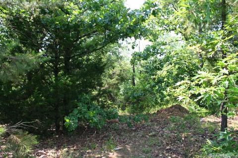1370 Mcnutt Rd, Conway, AR 72034 photo 21