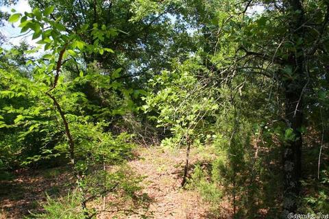 1370 Mcnutt Rd, Conway, AR 72034 photo 29