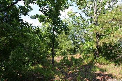 1370 Mcnutt Rd, Conway, AR 72034 photo 22
