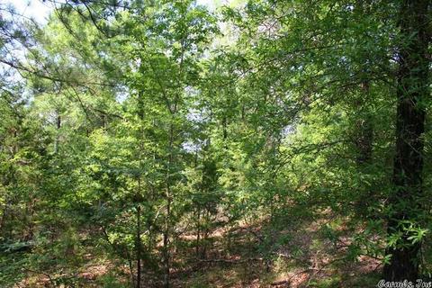 1370 Mcnutt Rd, Conway, AR 72034 photo 31