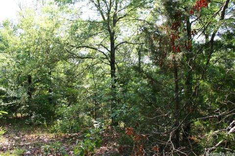 1370 Mcnutt Rd, Conway, AR 72034 photo 25