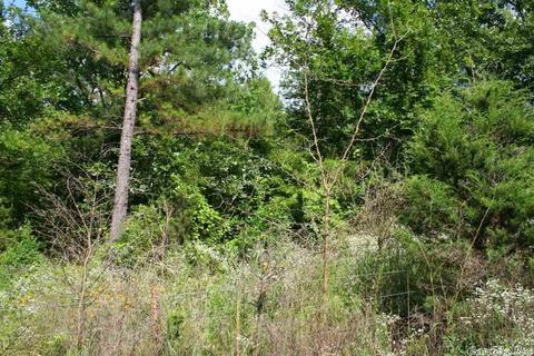 1370 Mcnutt Rd, Conway, AR 72034 photo 33