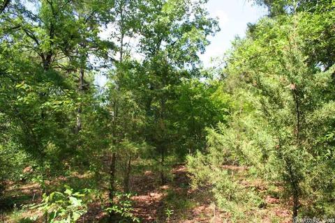 1370 Mcnutt Rd, Conway, AR 72034 photo 30