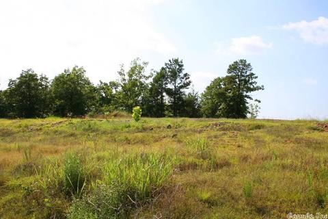 1370 Mcnutt Rd, Conway, AR 72034 photo 20