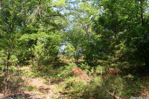 1370 Mcnutt Rd, Conway, AR 72034 photo 32