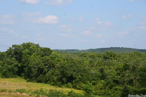 1370 Mcnutt Rd, Conway, AR 72034 photo 14