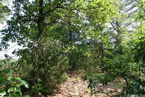 1370 Mcnutt Rd, Conway, AR 72034 photo 23