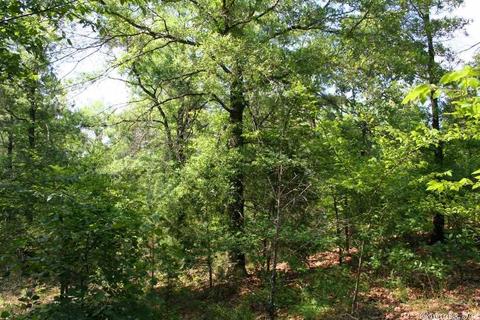 1370 Mcnutt Rd, Conway, AR 72034 photo 28