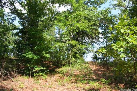 1370 Mcnutt Rd, Conway, AR 72034 photo 27