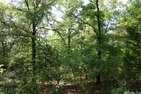 1370 Mcnutt Rd, Conway, AR 72034 photo 26