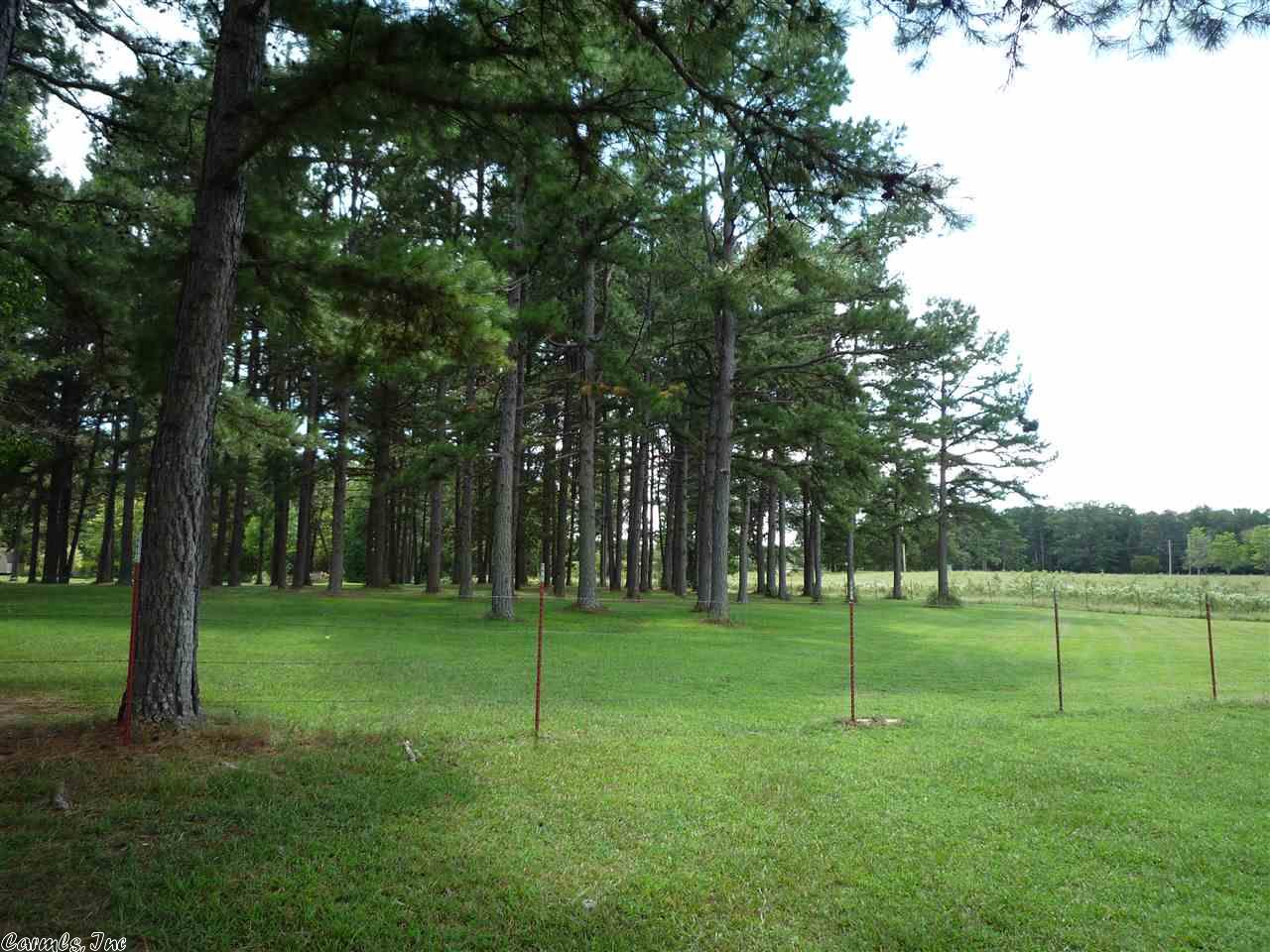 207 Tedford Ln, Sims, AR 71969 photo 6