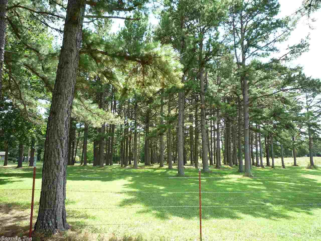 207 Tedford Ln, Sims, AR 71969 photo 7