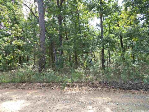 120 Black Bear Blf, Mountain View, AR 72560 photo 1