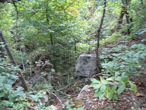 120 Black Bear Blf, Mountain View, AR 72560 photo 3