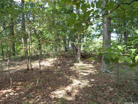 120 Black Bear Blf, Mountain View, AR 72560 photo 2