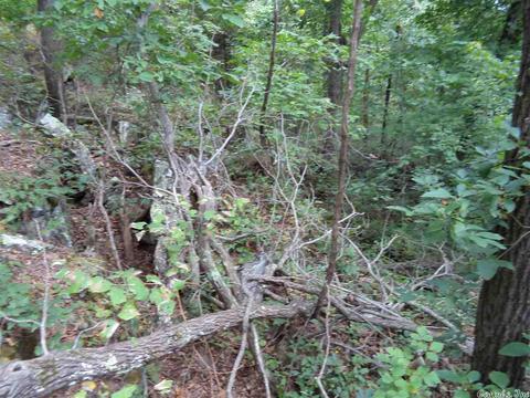 120 Black Bear Blf, Mountain View, AR 72560 photo 4
