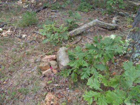 120 Black Bear Blf, Mountain View, AR 72560 photo 6