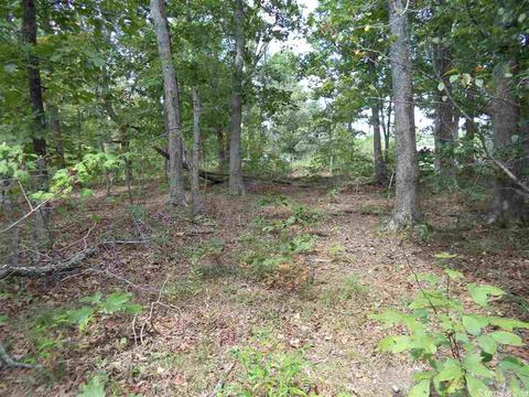 120 Black Bear Blf, Mountain View, AR 72560 photo 5