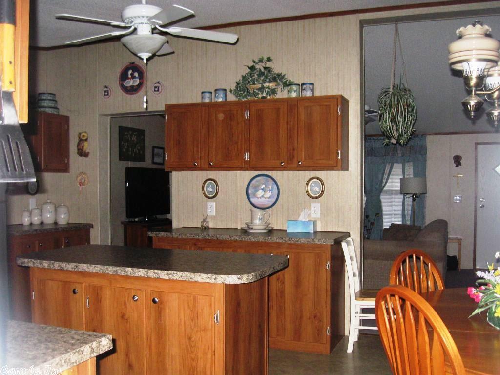 66 Sharon Cir, Ash Flat, AR 72513 photo 16