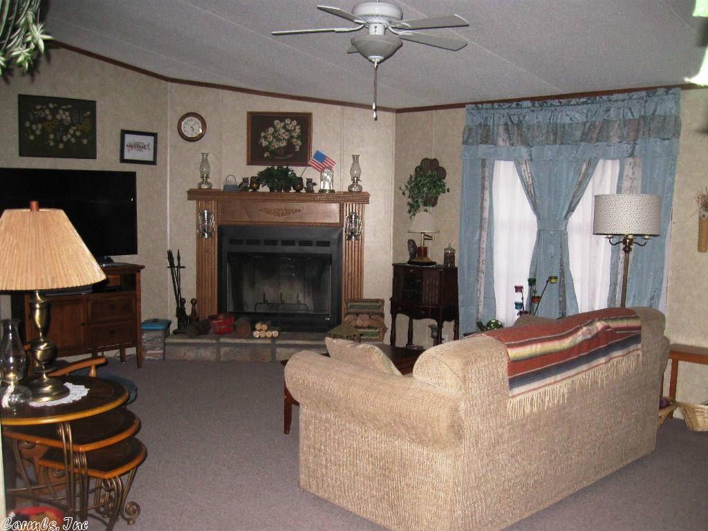66 Sharon Cir, Ash Flat, AR 72513 photo 8