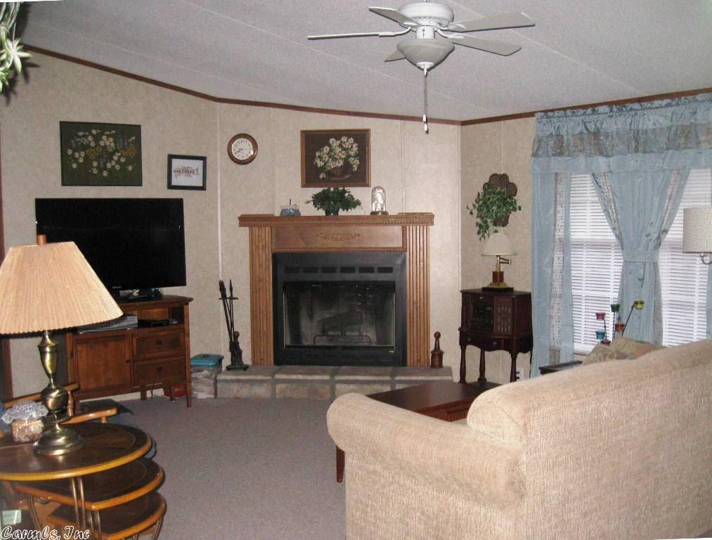 66 Sharon Cir, Ash Flat, AR 72513 photo 20