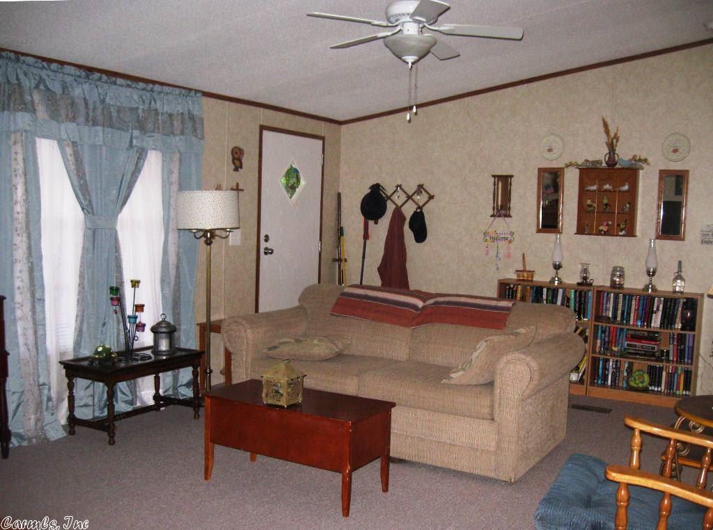 66 Sharon Cir, Ash Flat, AR 72513 photo 29