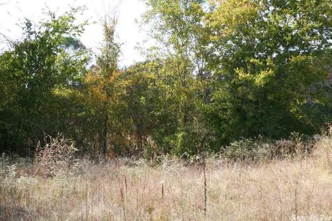 408 Hwy 64 E, Conway, AR 72032 photo 26