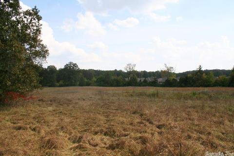 408 Hwy 64 E, Conway, AR 72032 photo 40