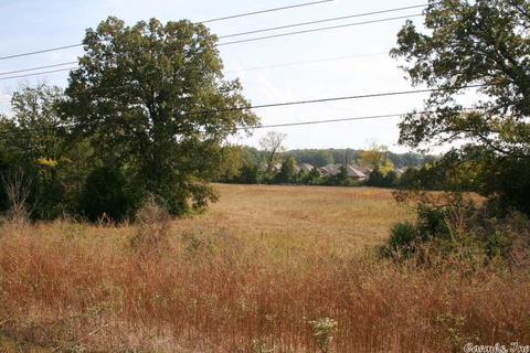 408 Hwy 64 E, Conway, AR 72032 photo 13