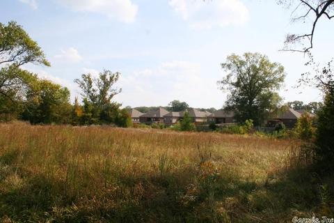 408 Hwy 64 E, Conway, AR 72032 photo 19