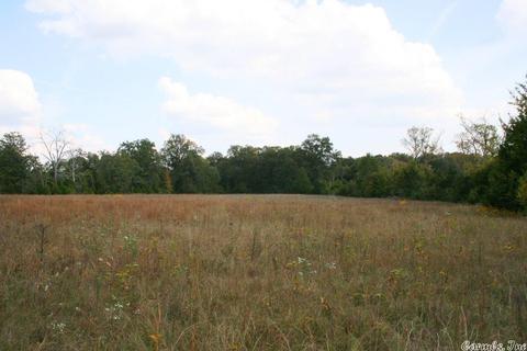 408 Hwy 64 E, Conway, AR 72032 photo 30