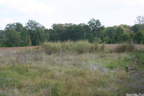 408 Hwy 64 E, Conway, AR 72032 photo 27