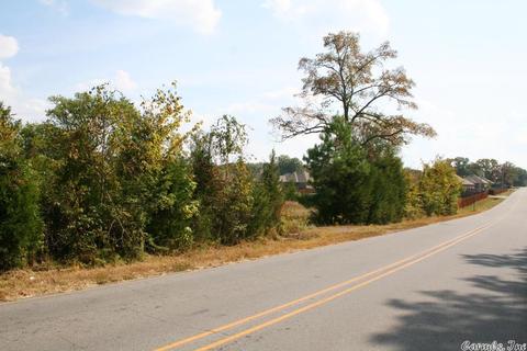 408 Hwy 64 E, Conway, AR 72032 photo 20
