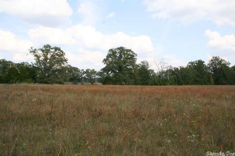408 Hwy 64 E, Conway, AR 72032 photo 31