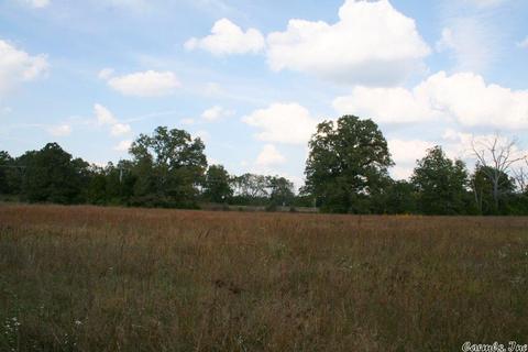 408 Hwy 64 E, Conway, AR 72032 photo 33