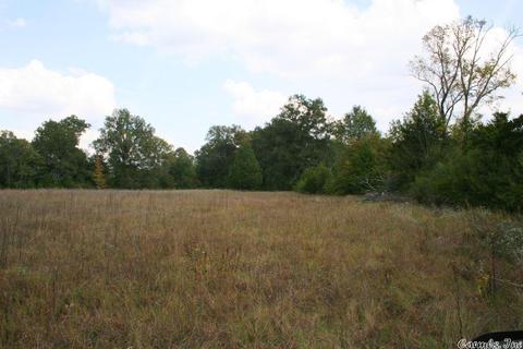 408 Hwy 64 E, Conway, AR 72032 photo 34