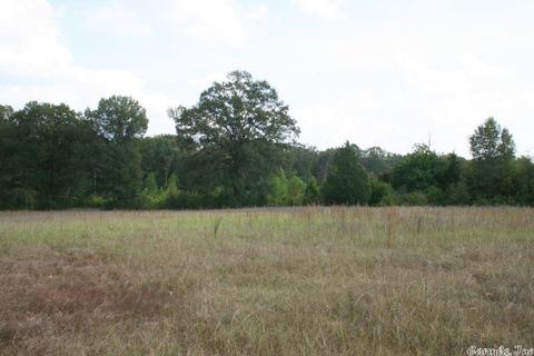 408 Hwy 64 E, Conway, AR 72032 photo 39