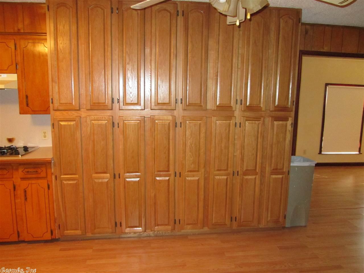 785 Apple Hl, Austin, AR 72007 photo 18