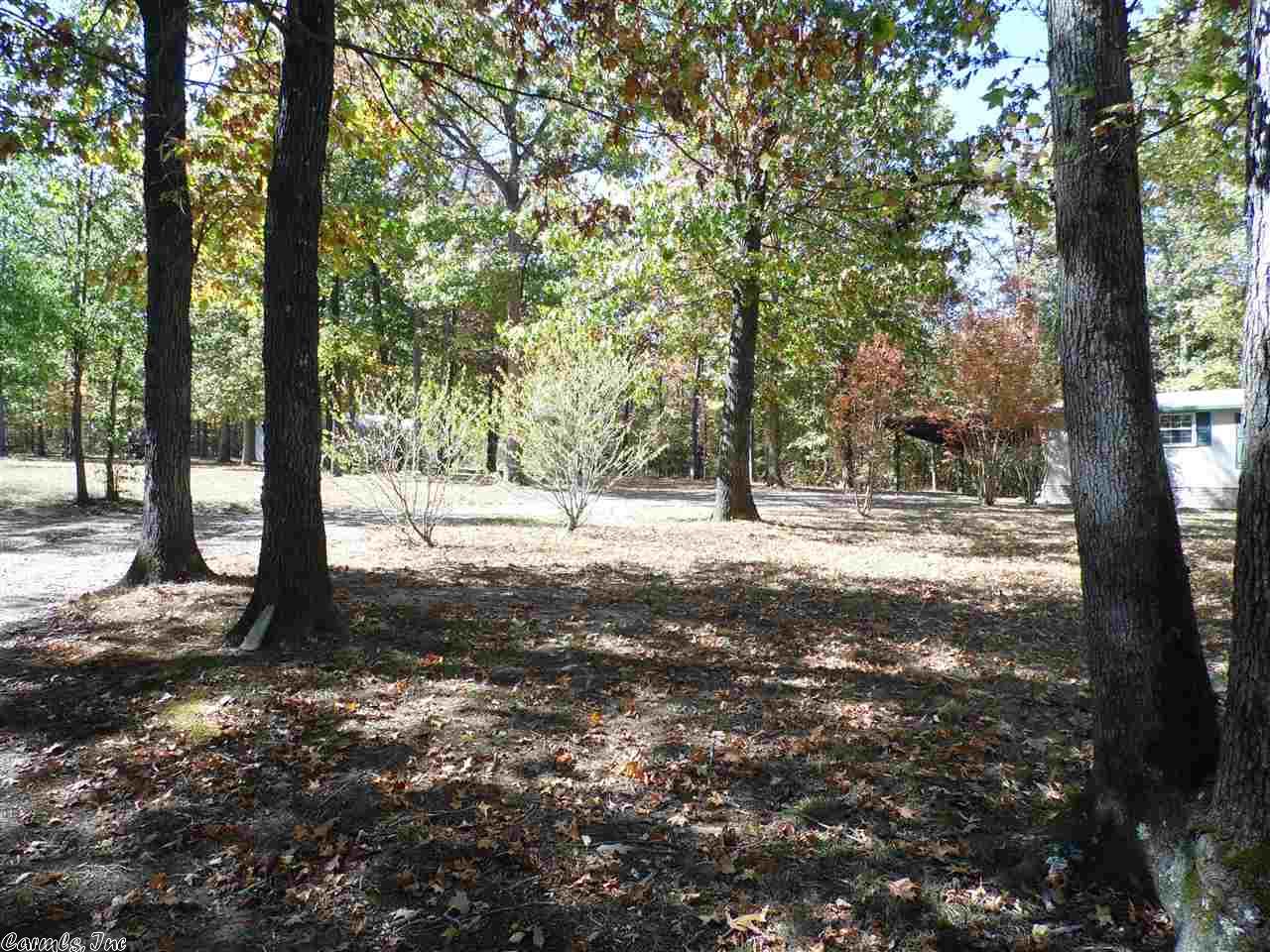 893 Polk Rd 95, Mena, AR 71953 photo 3
