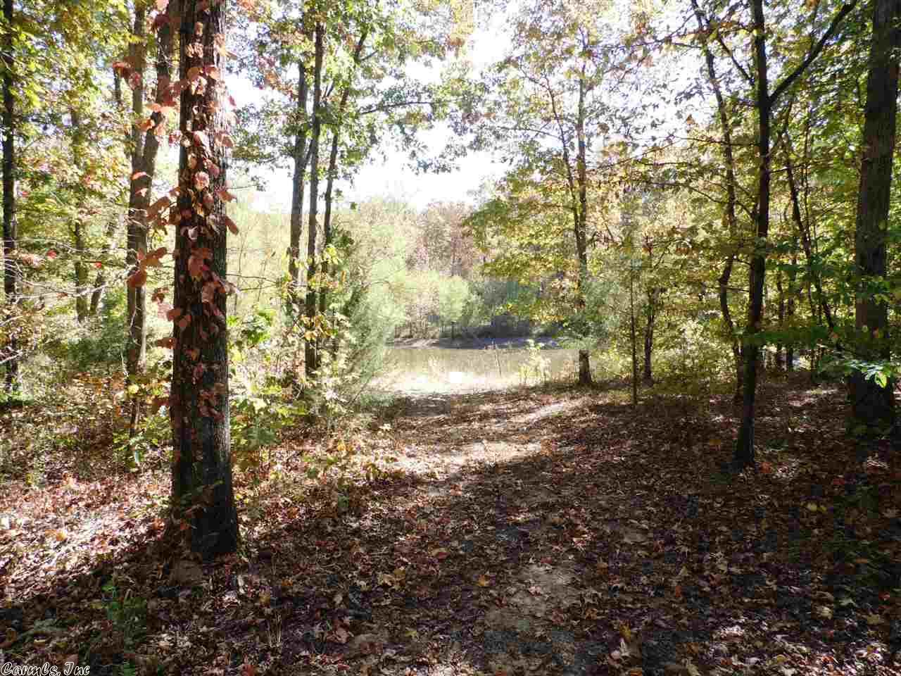 893 Polk Rd 95, Mena, AR 71953 photo 31